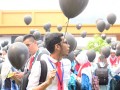 Tn 218 DSC 3120